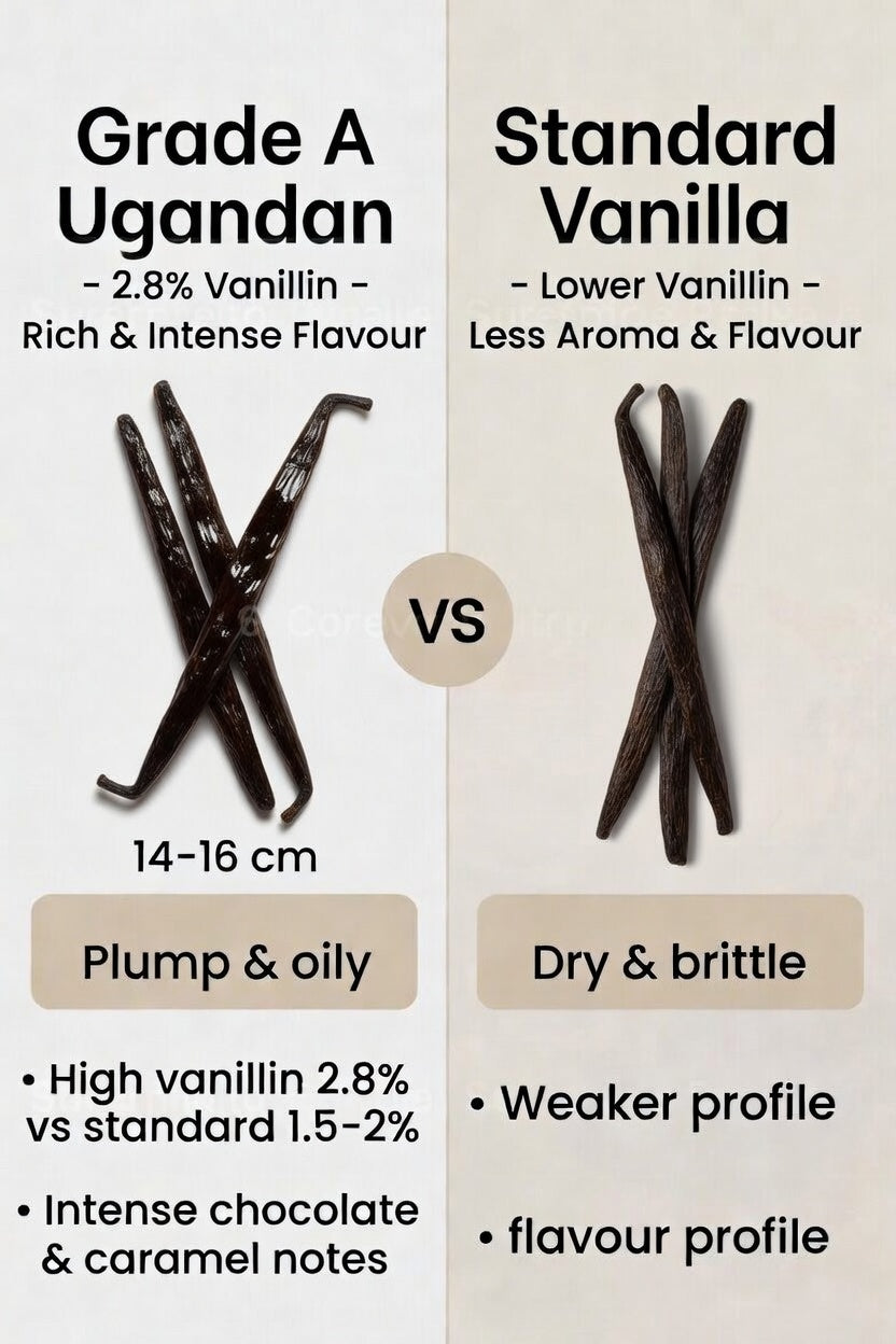 Vanilla Pods(Ugandan) 14-16cm Grade A - Gourmet Beans - High Vanillin