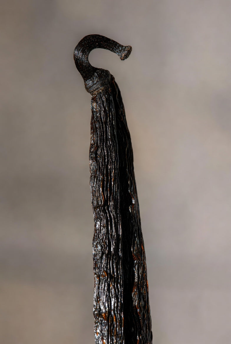 Vanilla Pods(Ugandan) 14-16cm Grade A - Gourmet Beans - High Vanillin